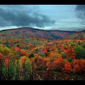 Meet your Posher, Stephen